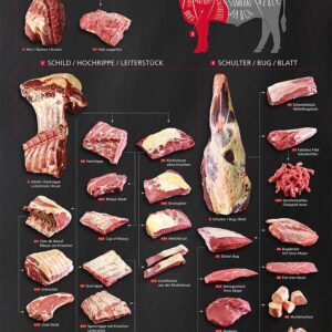 Plakat Rind Vorderviertel Cuts für Profis