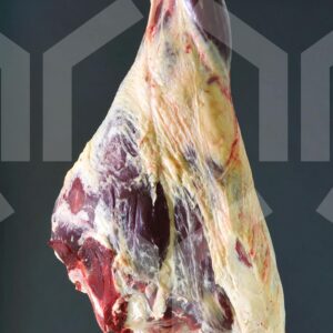 Bildlizenz - Hinterkeule