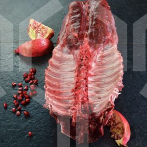 Bildlizenz - Rücken mit Knochen mit Deko