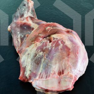 Bildlizenz - Schulter mit Knochen
