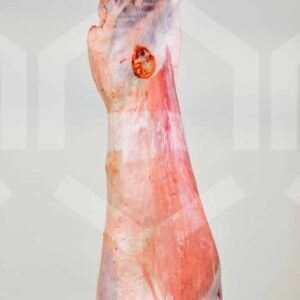 Bildlizenz - Lammhälfte, Fleischseite