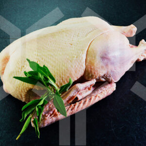 Bildlizenz - ganze Ente mit Deko