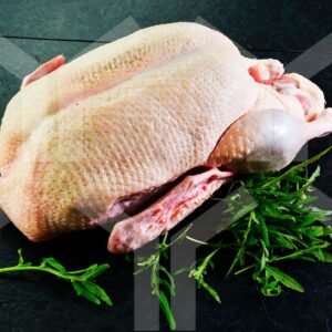 Bildlizenz - komplette Gans mit Deko