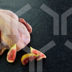Bildlizenz - Stubenküken mit Deko