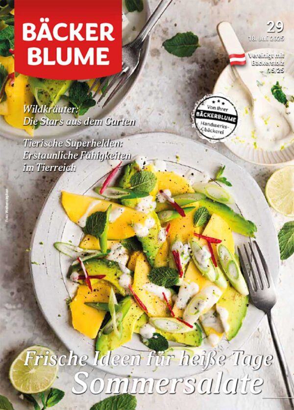 BÄCKERBLUME 29/2025